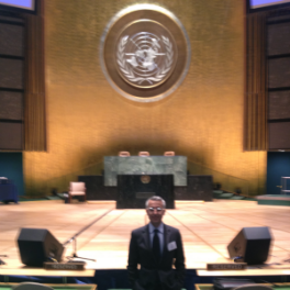 Ezio Lattanzio - Speaking before the UN, 2012