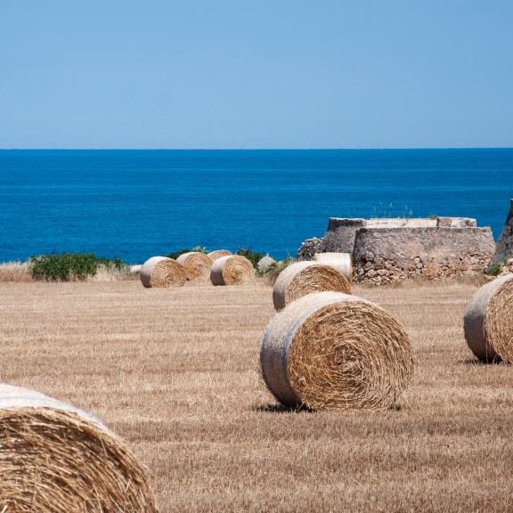 Launch of the independent and ex post evaluation of the RDP Puglia 2014/2022