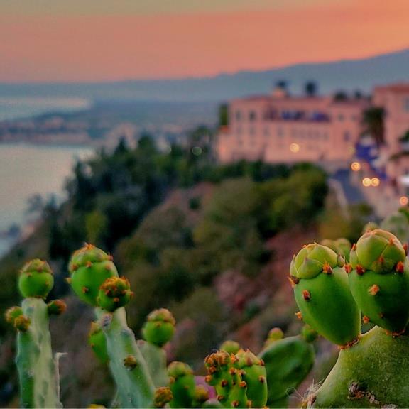 Come contribuire a rendere il sistema agricolo siciliano più resiliente e orientato al futuro?