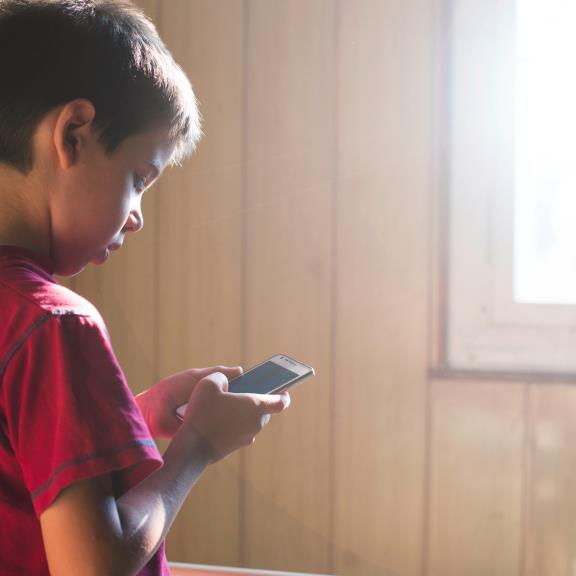 Protection of minors online: the european study on the Digital Services Act (DSA) Protection of minors online: the european study on the Digital Services Act (DSA)