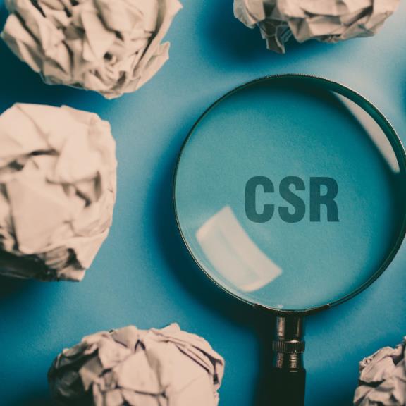 New approaches in the circular economy and CSR studies