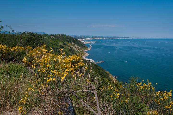 Sviluppo rurale della Regione Marche 