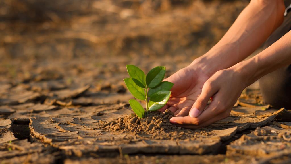 Rafforzare la funzione di valutazione dell’Organizzazione delle Nazioni Unite per l’Alimentazione e l’Agricoltura (FAO)