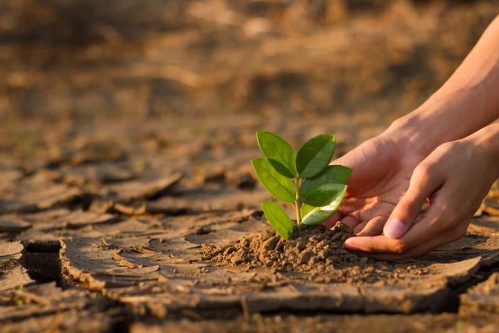 Strengthening the evaluation function of the Food and Agriculture Organisation of the United Nations  (FAO)