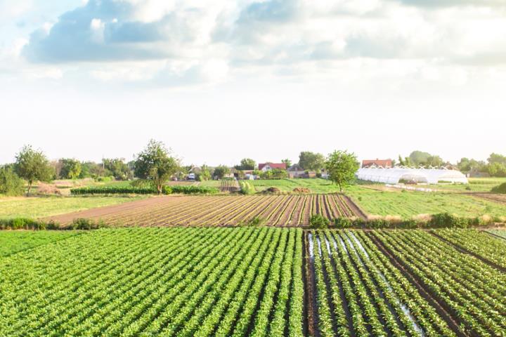 Favorire la comprensione dell’intervento della FAO nel mondo 