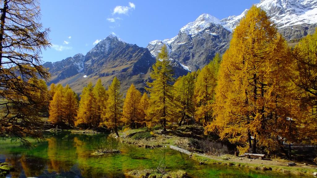 Ottimizzare il Programma Rurale Valle d’Aosta con monitoraggio e reportistica avanzata
