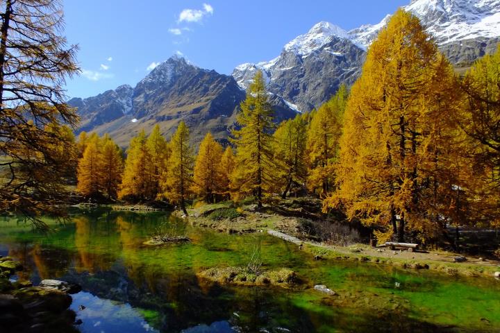 Ottimizzare il Programma Rurale Valle d’Aosta con monitoraggio e reportistica avanzata