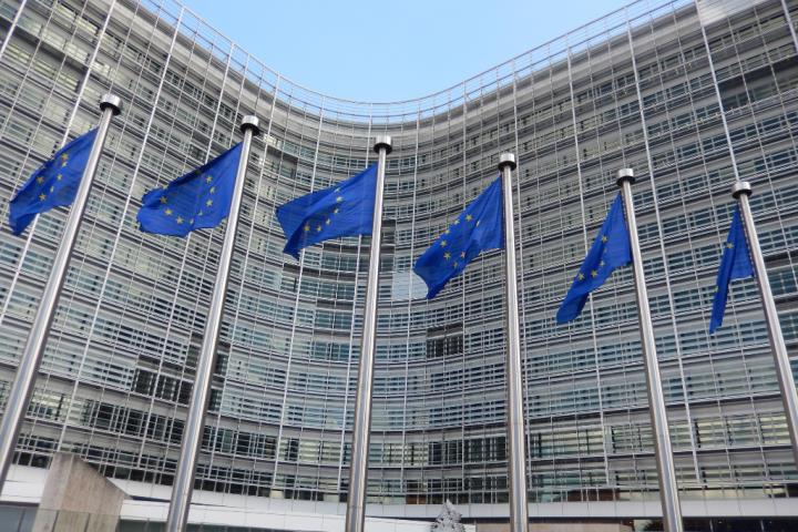 Supportare la BCE nell’organizzazione  del Consiglio direttivo a Firenze