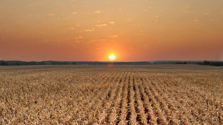 Misurare l'impatto per valorizzare l'agricoltura italiana