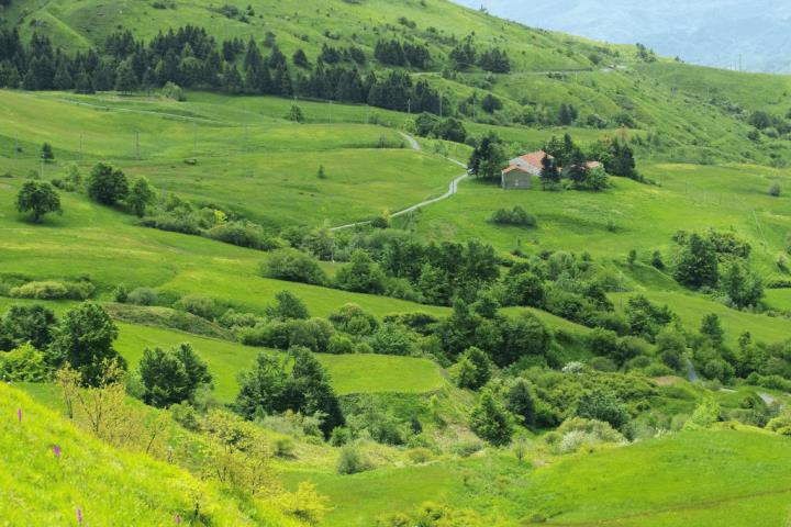 Evaluating the Rural Development Program of the Liguria Region