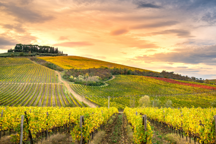 L'attrazione degli investimenti esteri in Regione Toscana