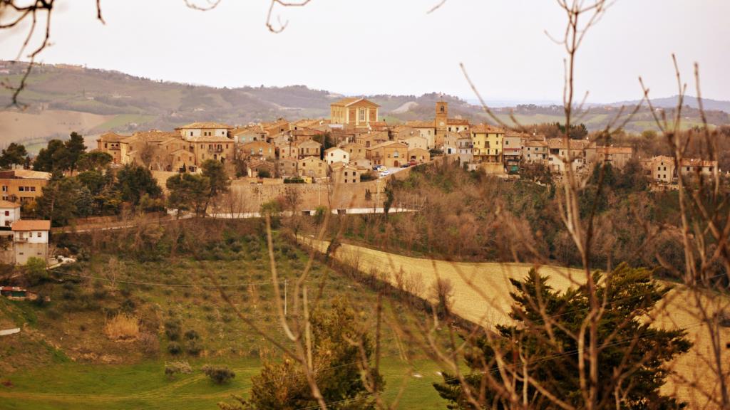 Contributing to the economic and social cohesion of the Marche Region