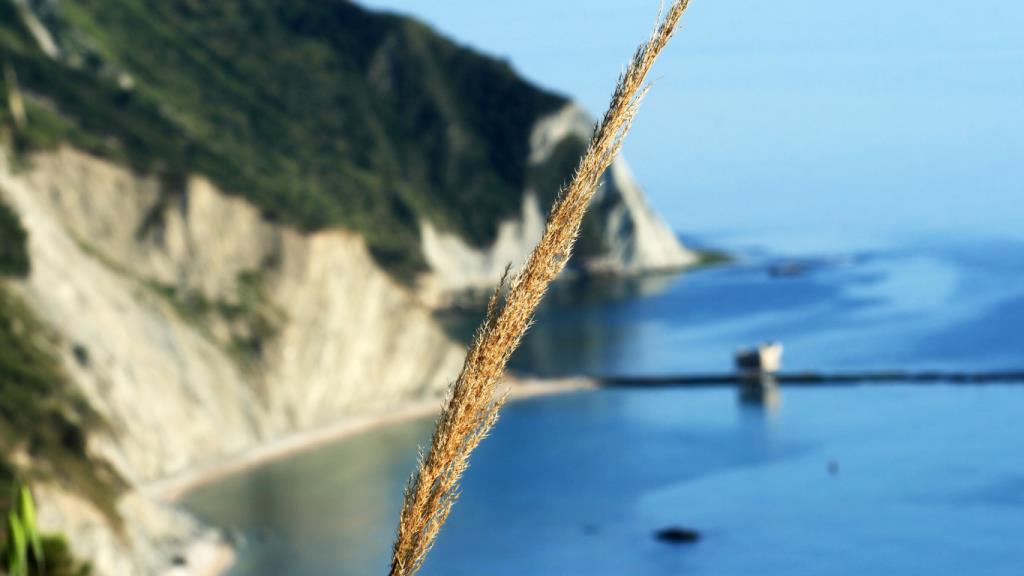 La valutazione per il PSR di Regione Marche
