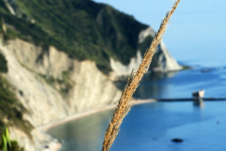 La valutazione per il PSR di Regione Marche