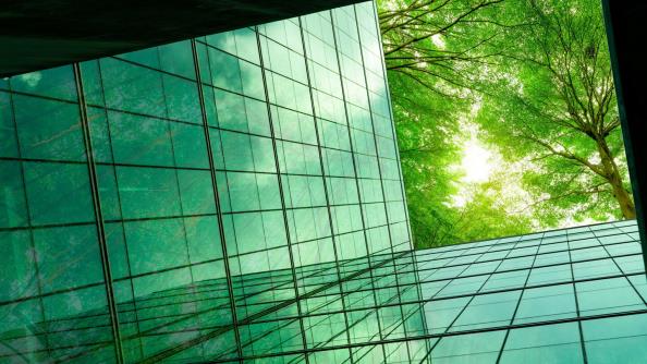 Environmental commitment, respect for our values, transparency Environmental commitment, respect for our values, transparency