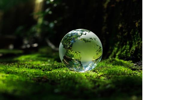 Blue chips and sustainability Blue chips and sustainability